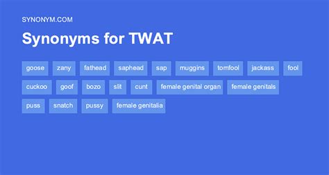 twat synonym|TWAT Definition & Meaning .